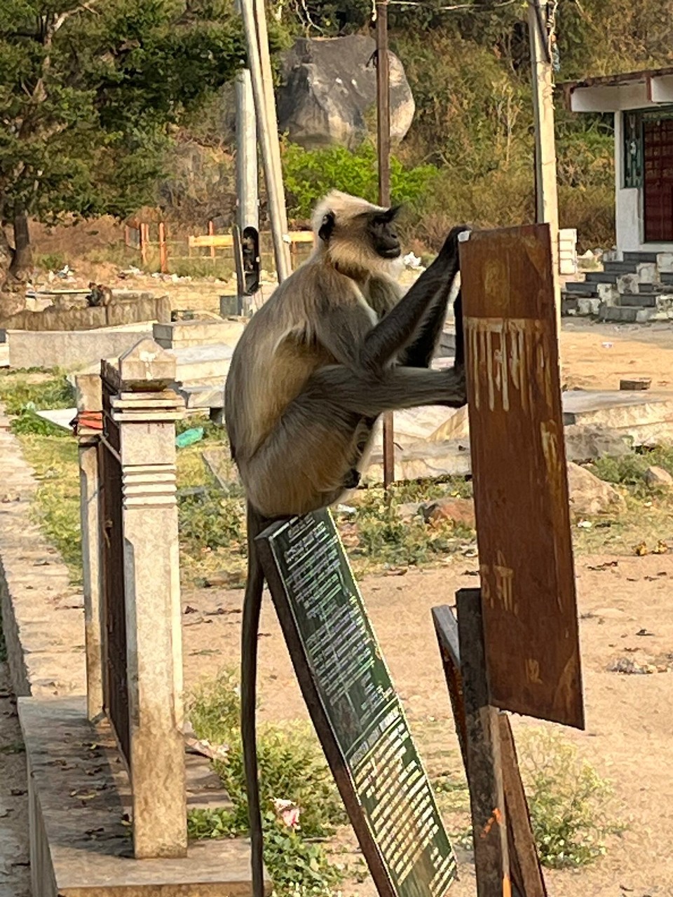 Indien - Hampi - Hampi