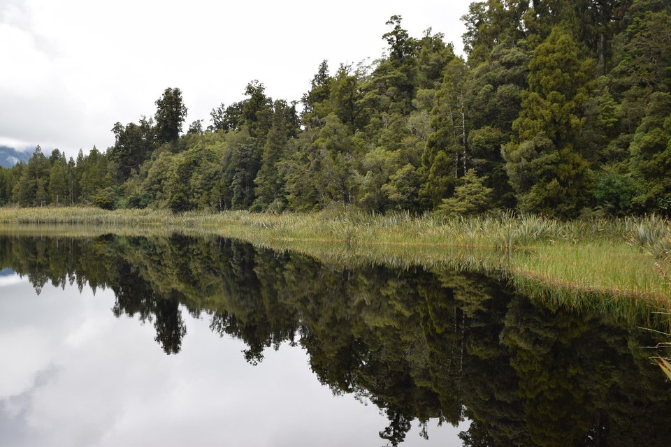 Neuseeland - Lake Matheson - 