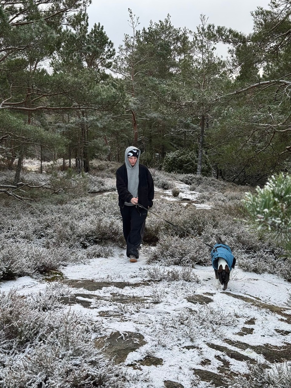 Schweden - Tanumshede - … und dann gehts ihr nicht ganz so gut.  :0(