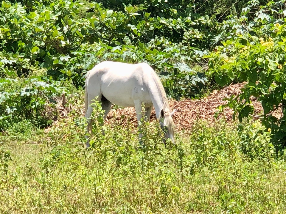 Brasilien - Governador Valadares - 
