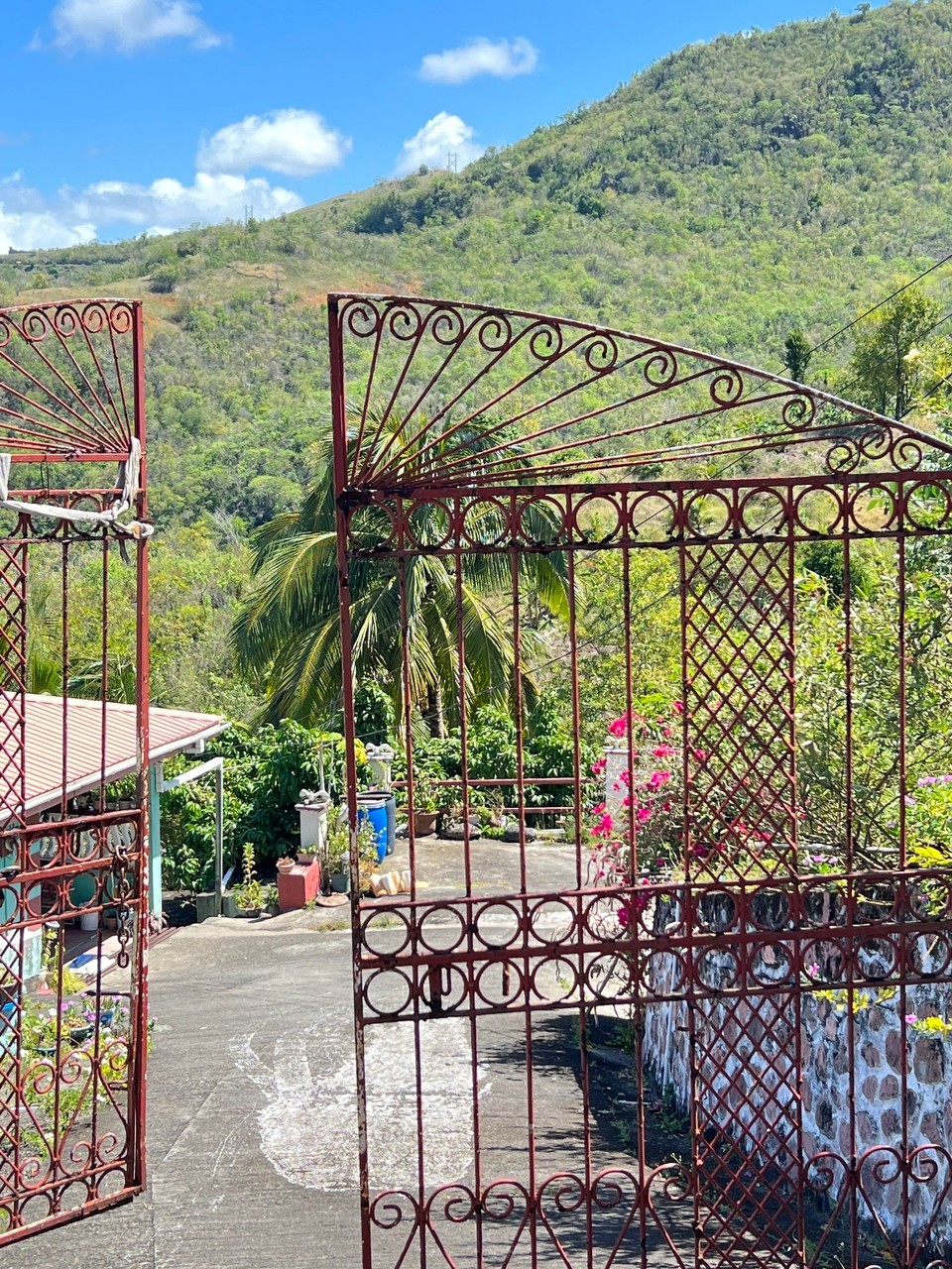 St. Lucia -  - 