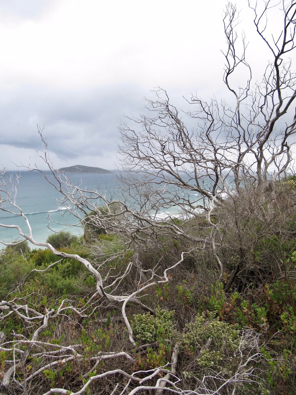 Australien - Cowes - 