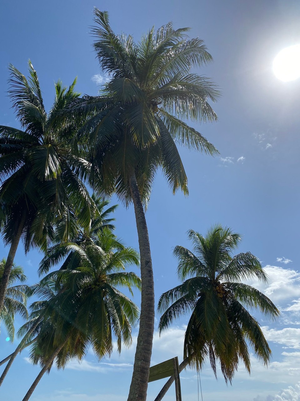 Panama -  - 