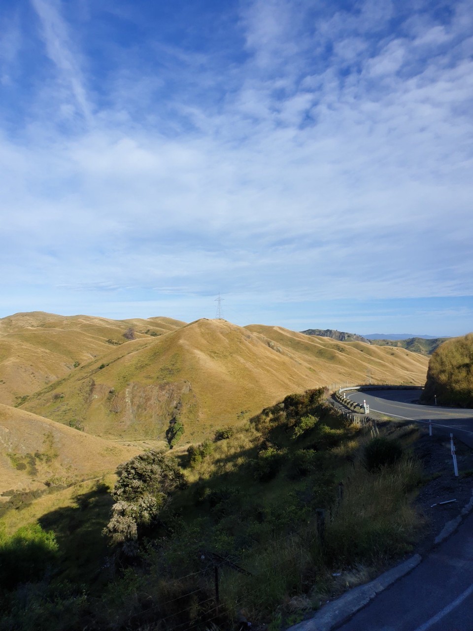 Neuseeland - Kaikoura - 