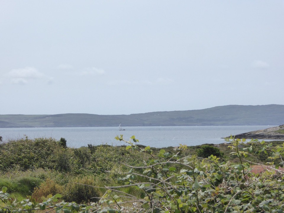 Ireland - Bere Island - Having spoken to a family in the bar yesterday, we went in search of Cloughland Beach. A pretty walk, to a quiet, calm bay…