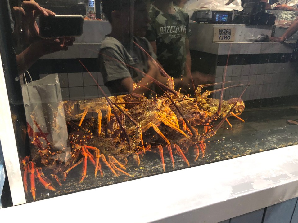 Neuseeland - Auckland - Fischmarkt 