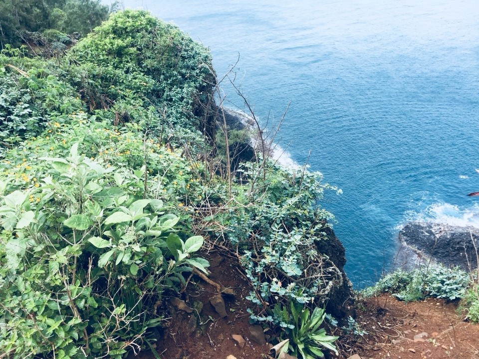 Vereinigte Staaten - Kapaa - Kilauea Point