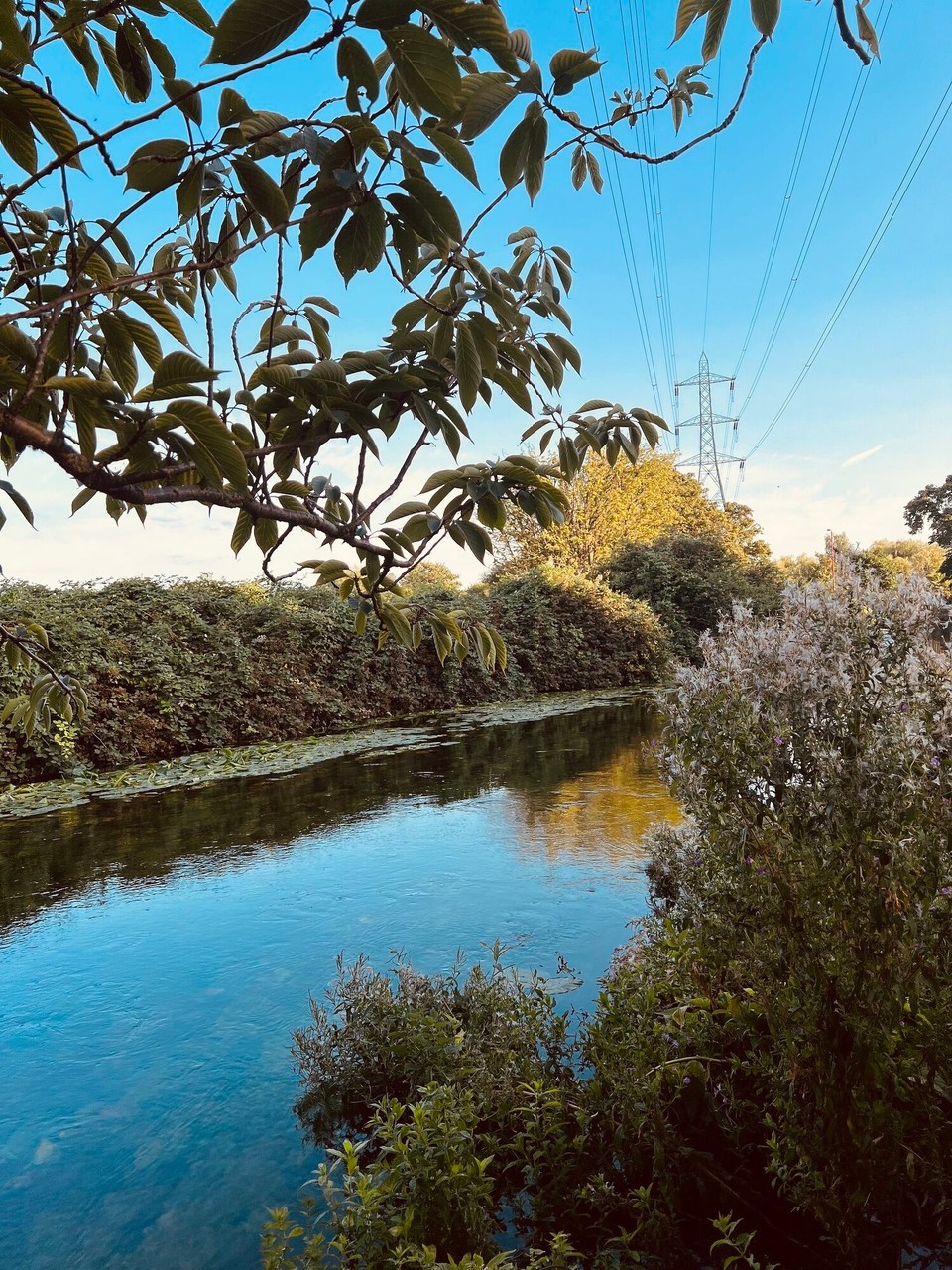 Vereinigtes Königreich - London - 