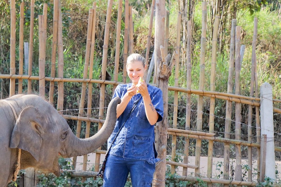 Thailand - Chiang Mai - 