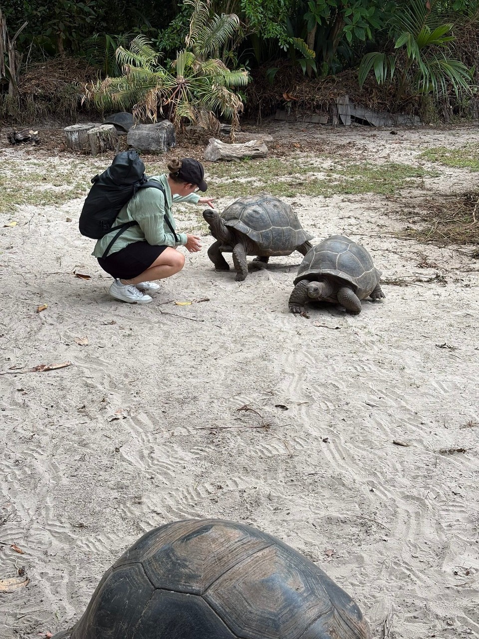 Seychellen -  - Neuer Freund 🥰