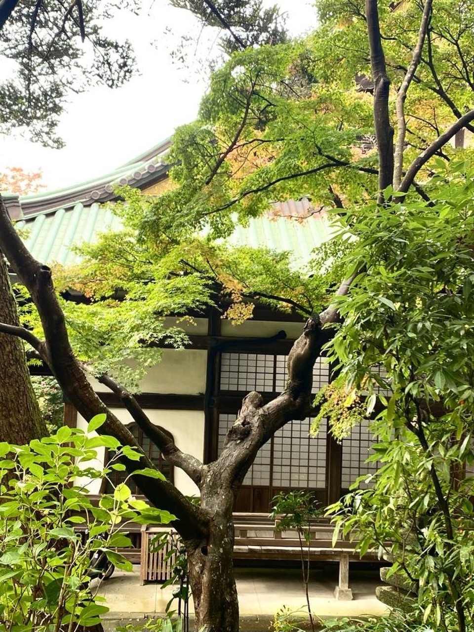 Japan - Numazu - 