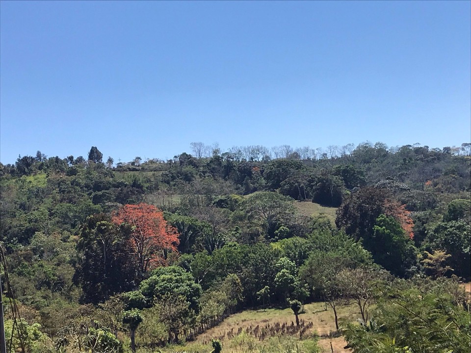 Costa Rica - Perez Zeledon - 