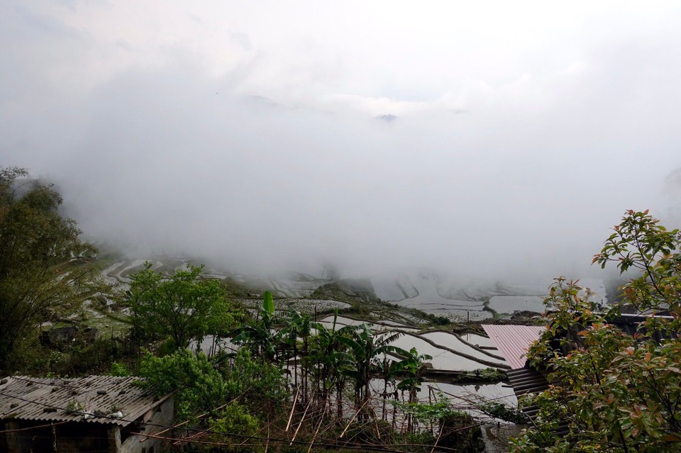 Vietnam - H. Sa Pa - 