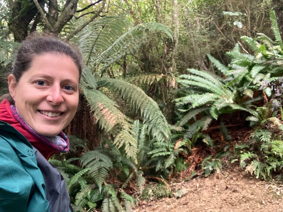 Neuseeland - Mount Peel - 