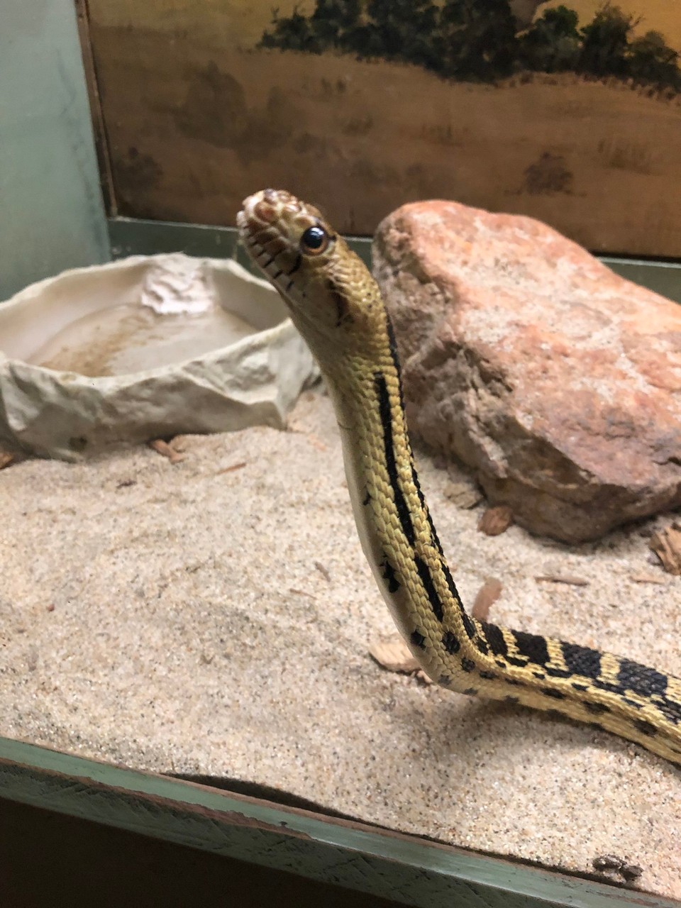 Vereinigte Staaten - Bakersfield - 22.07.2019 - CALM - California Living Museum