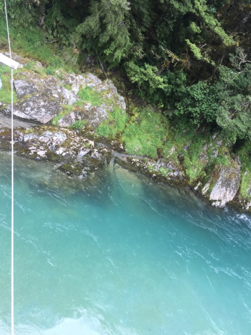 Neuseeland - Mt Aspiring National Park - 