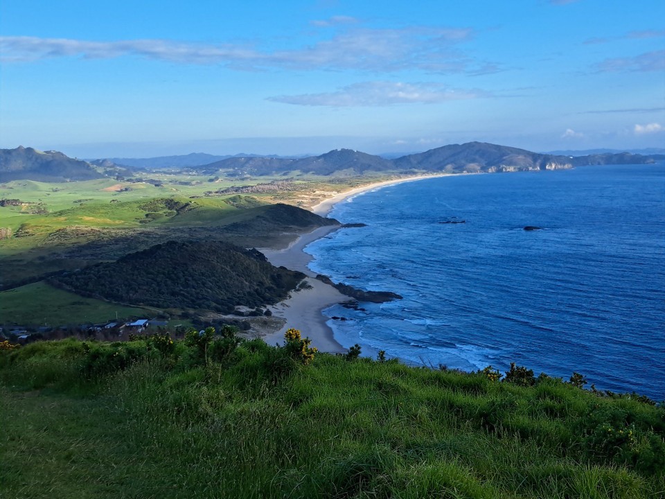 Neuseeland - Ruakākā - Sicht auf den Strand der gestrigen Tour 