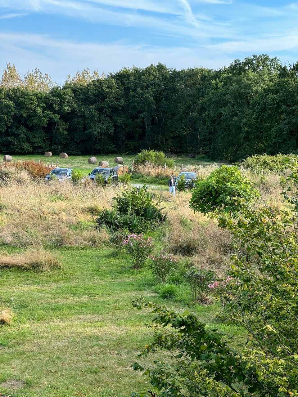 Frankreich - Combourg - 