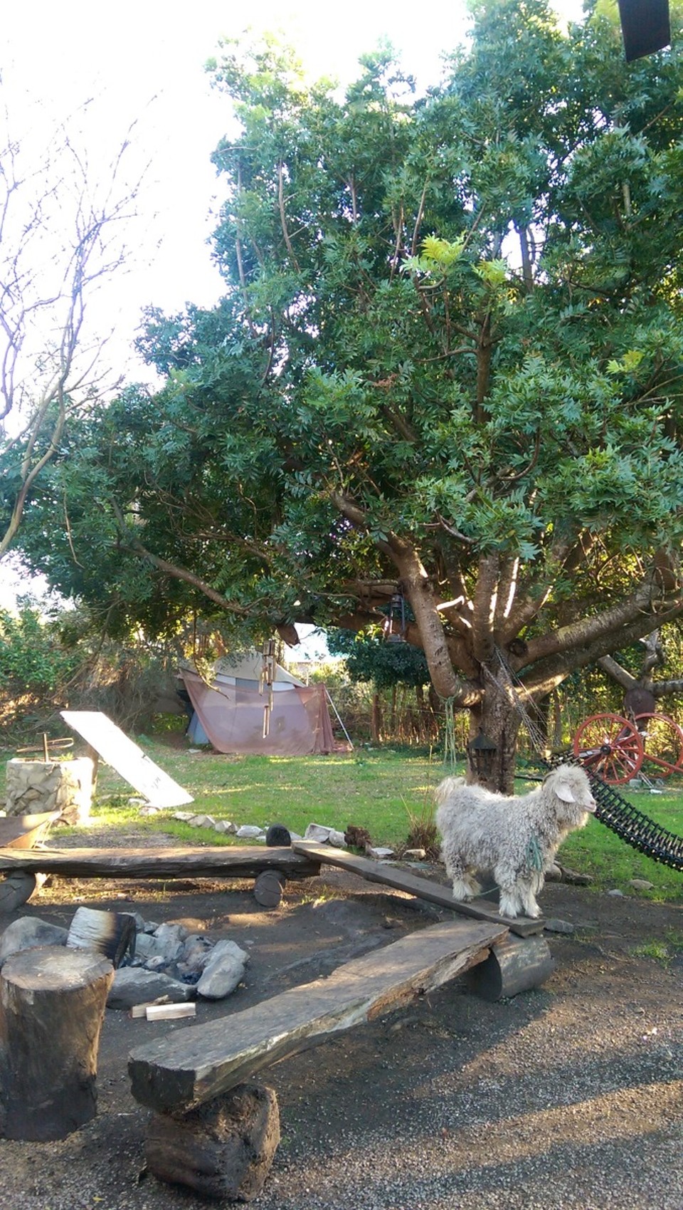 Südafrika - Stormsrivier - Das ganze erinnert an Pippi Langstrumpf....
Richtig geil....