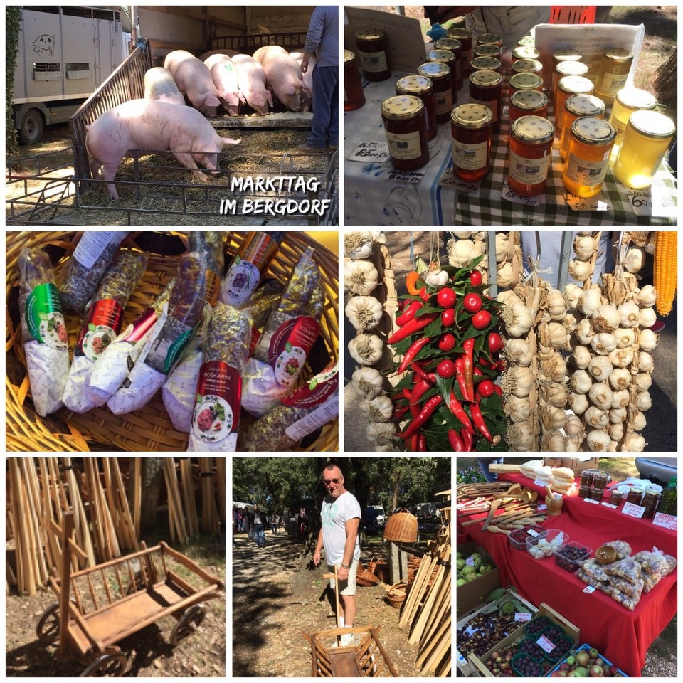 Kroatien - Motovun - Bauernmarkt unterwegs nach Motovun 