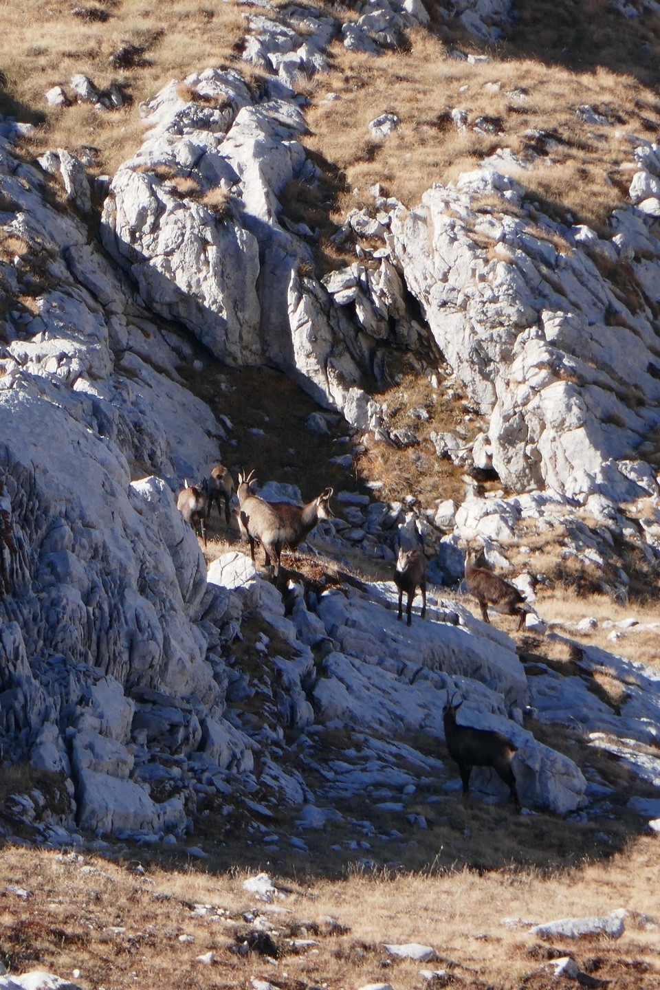 Montenegro - Žabljak - 