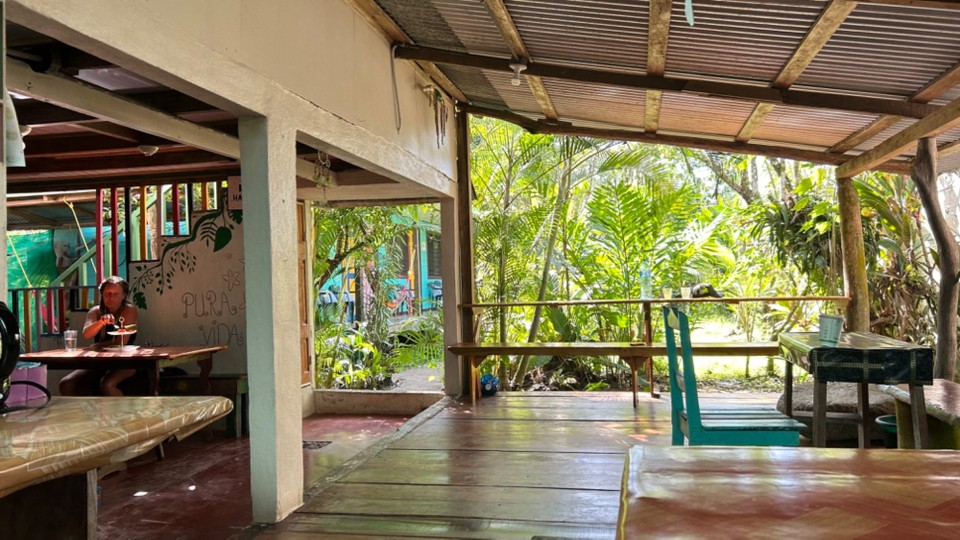 Costa Rica - Nationalpark Tortuguero - 