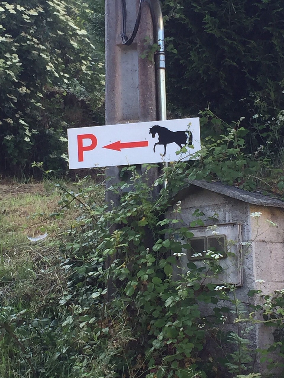 Spanien - Castroverde - Parkplatz für Pferde