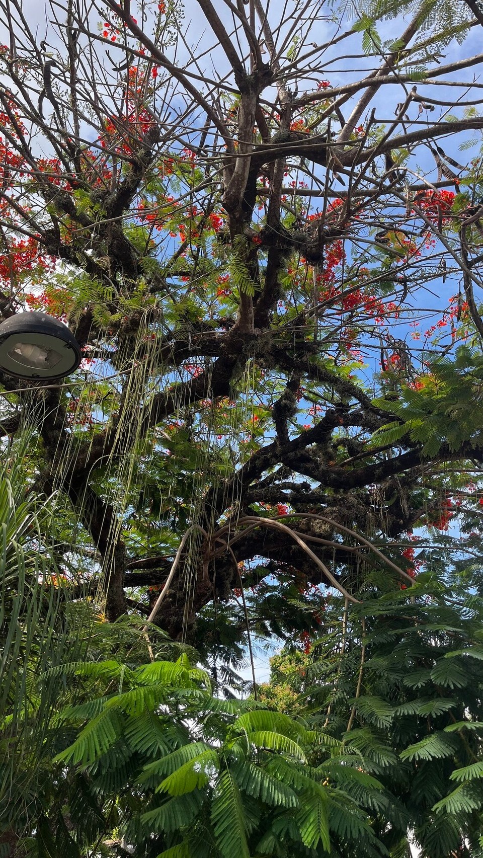 Brasilien - Cachoeira - 