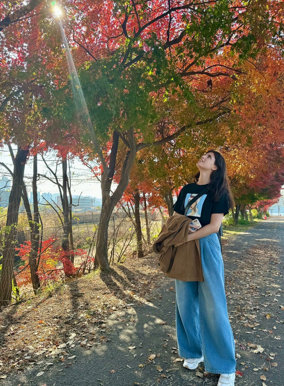 대한민국 - 춘천시 - 