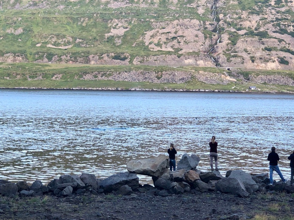 Island - Súðavíkurhreppur - So nah gehen wir nun nicht ran...