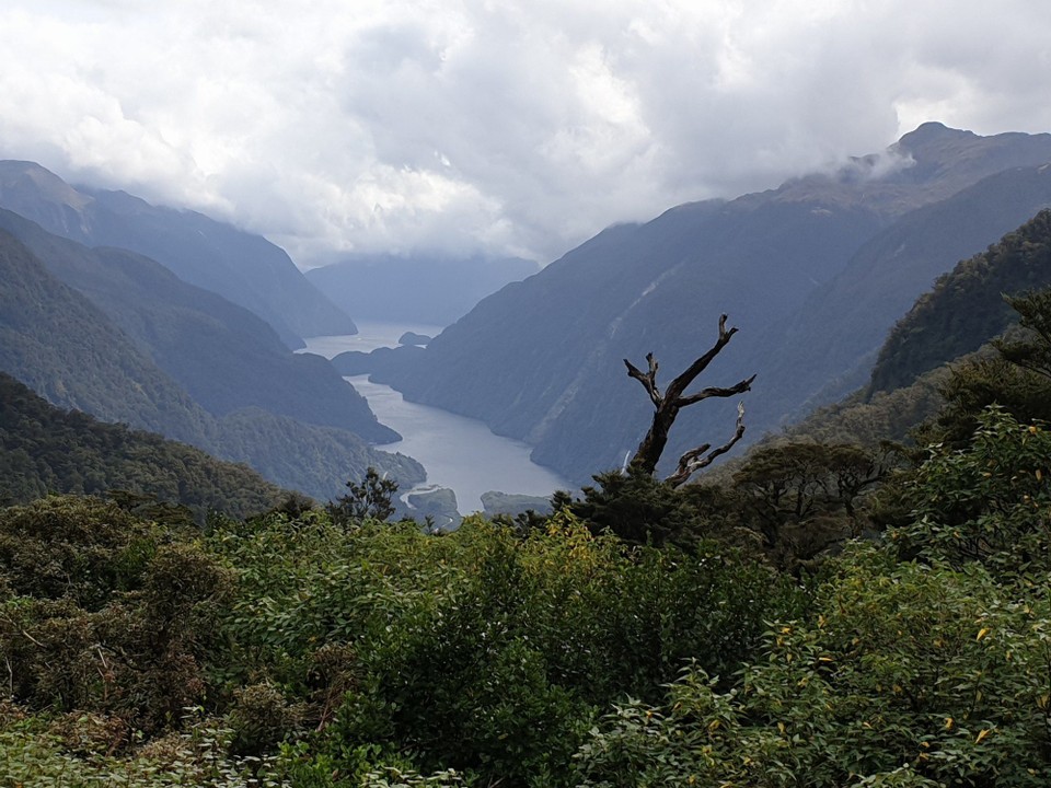 Neuseeland - Doubtful Sound - 
