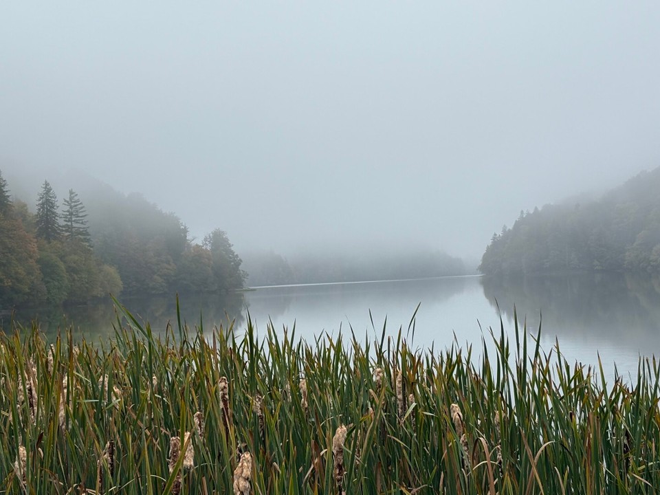 Kroatien - Čatrnja - Guten Morgen 