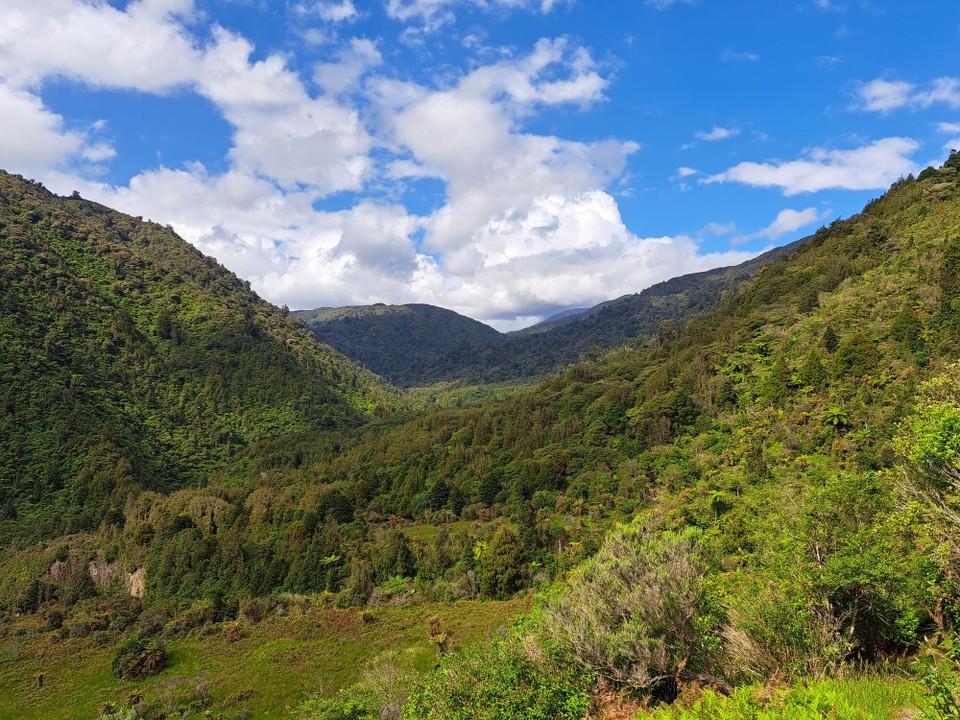Neuseeland - Parawai Lodge - 