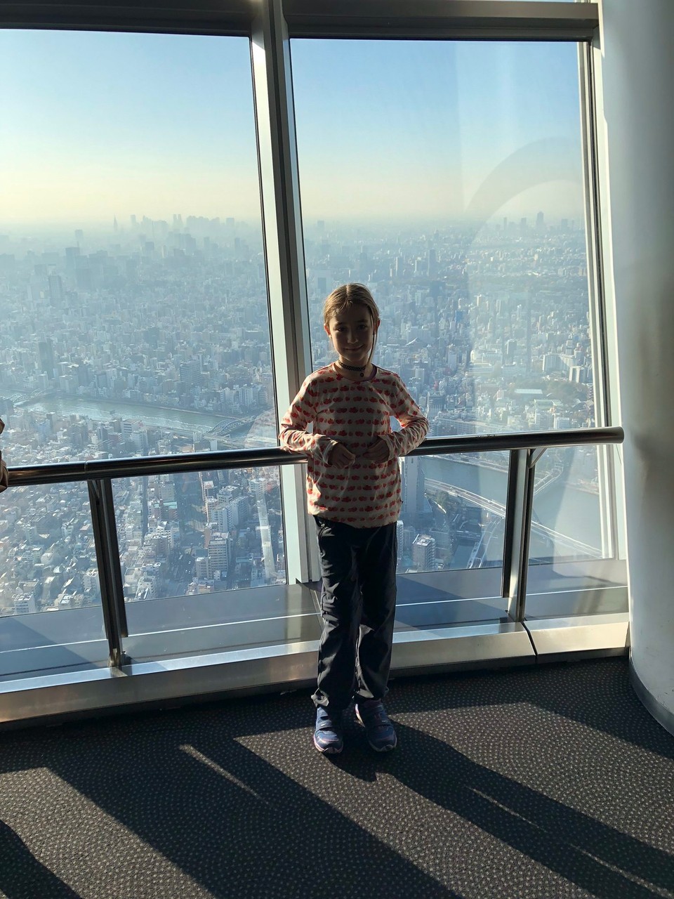 Japan - Sumida-Ku - Blick über ganz Tokyo!