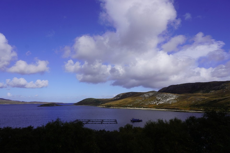 Vereinigtes Königreich - Durness - Irgend en Strand 1