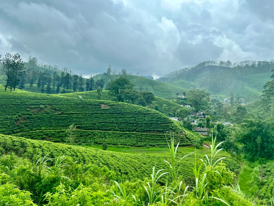 Sri Lanka -  - 