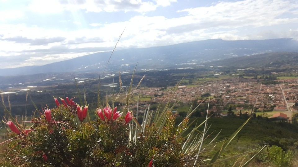 Kolumbien - Villa de Leyva - Die Aussicht sagt alles!