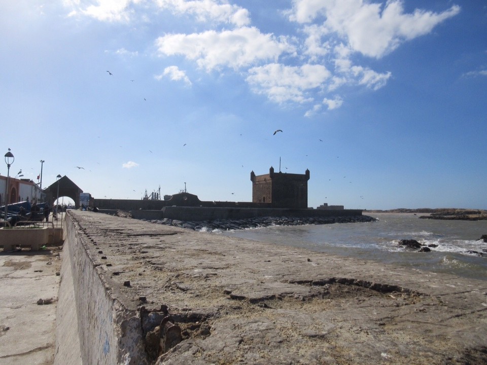 Morocco - Essaouira - 