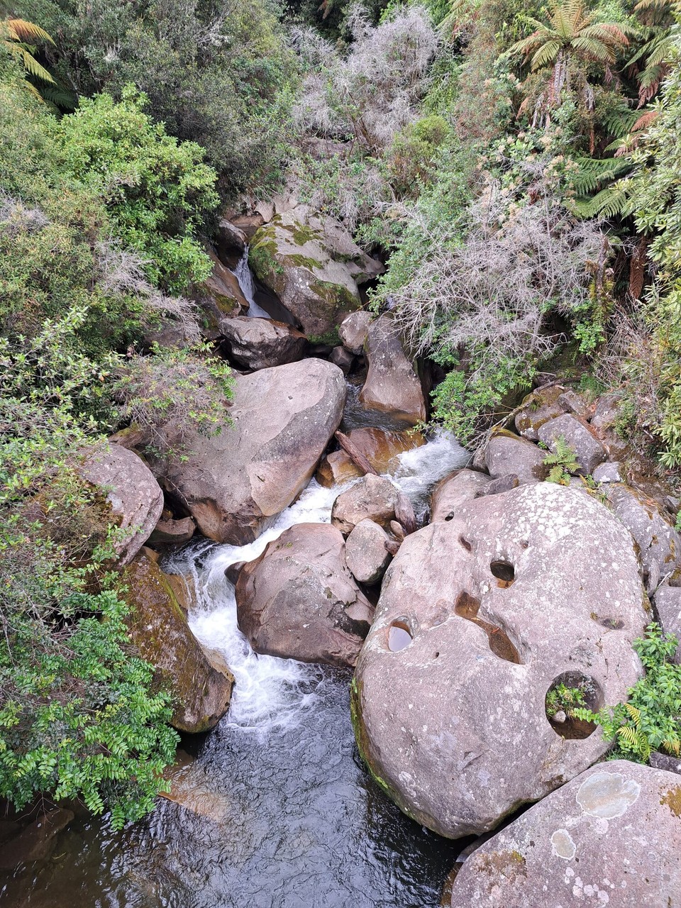 Neuseeland - Taumarunui - 