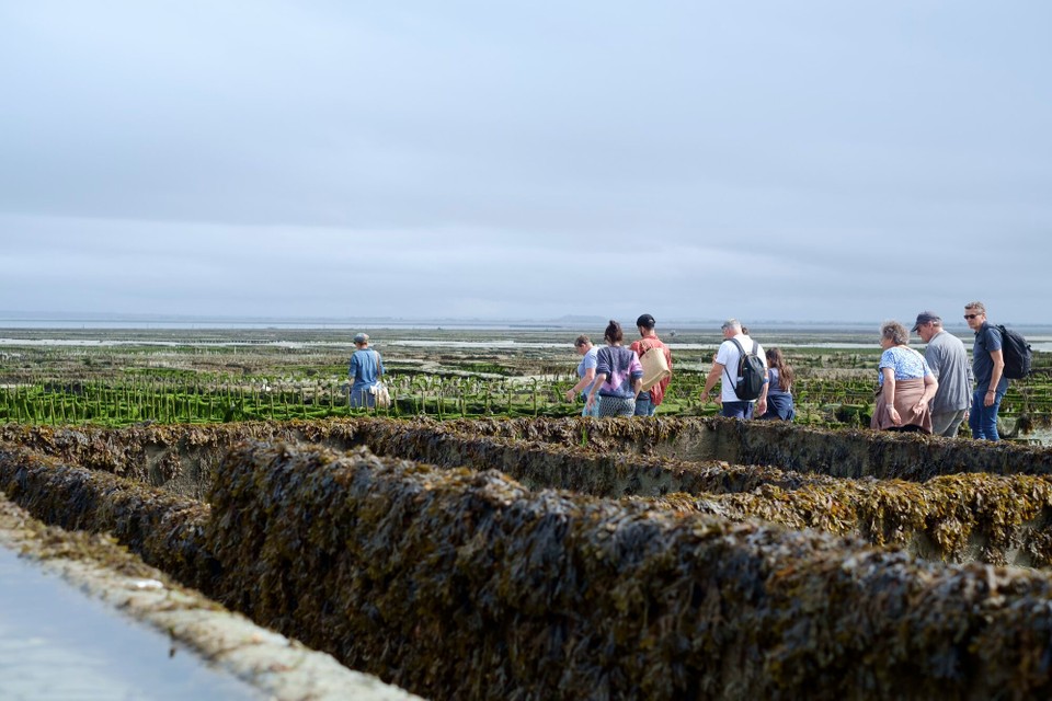 Frankreich - Cancale - 
