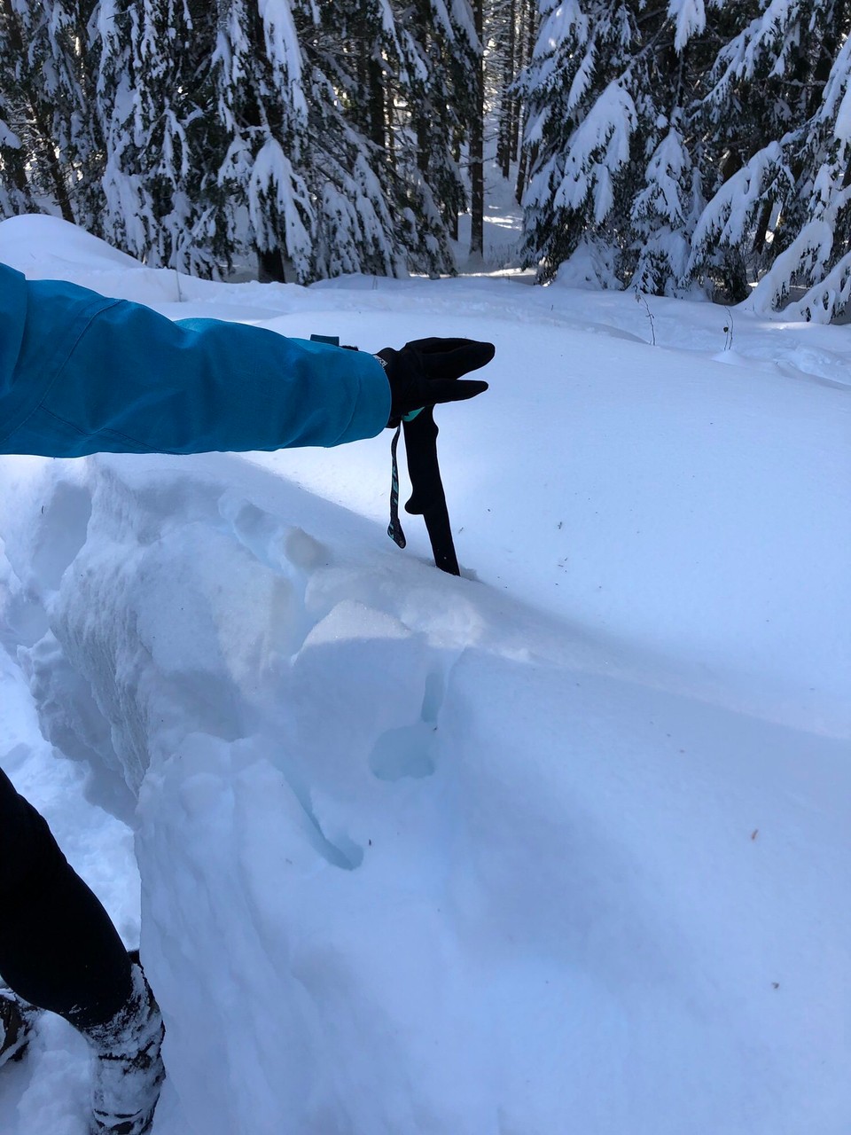 Frankreich - Villard de Lans - Der Schnee war über einen Meter Tief. Manchmal sind wir mit den Füßen bis zur Hüfte eingesunken. 