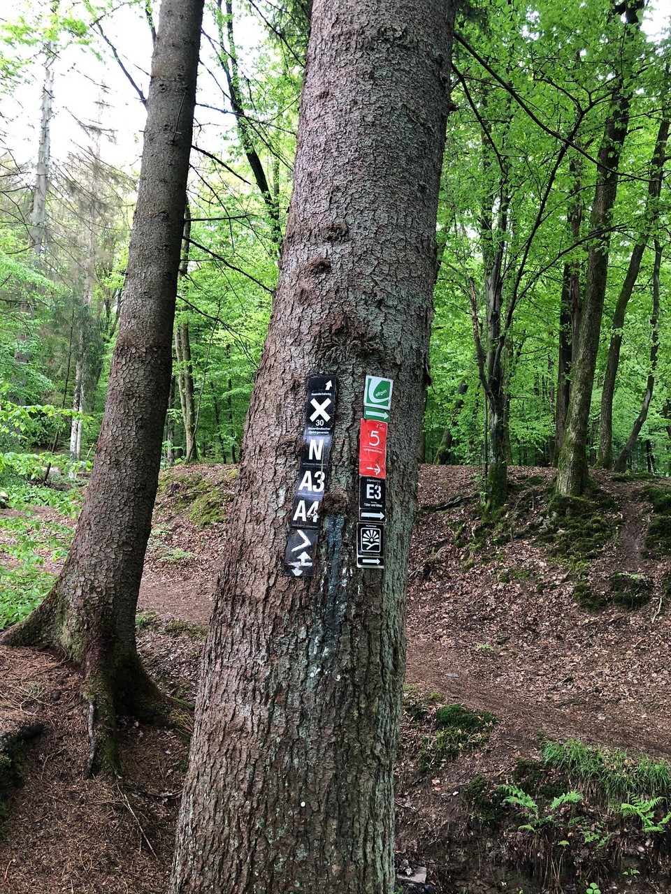 Deutschland - Odenthal - 