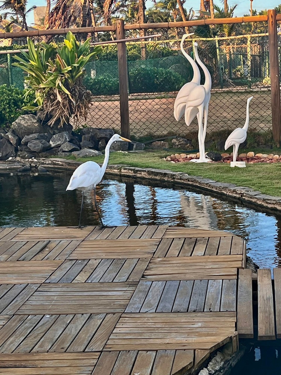 Brasilien - Jacuípe - 