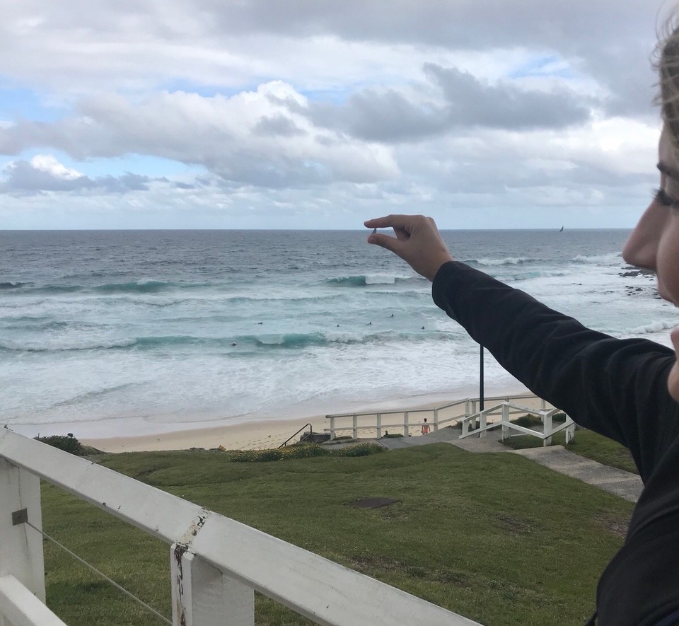 Australien - Bronte - I saw sharks! 