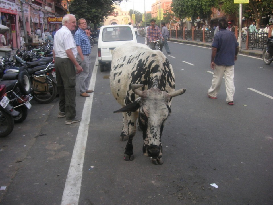 Indien - Jaipur - 
