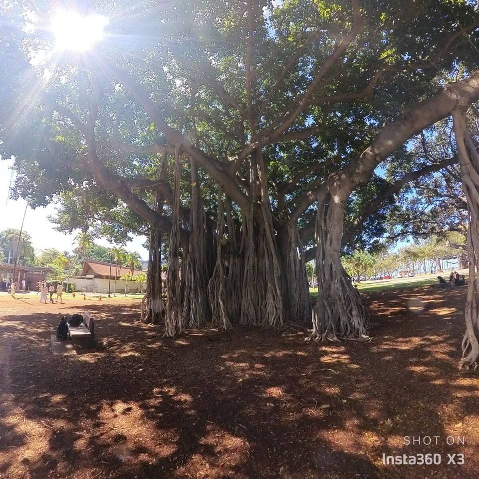 Vereinigte Staaten - Honolulu - 