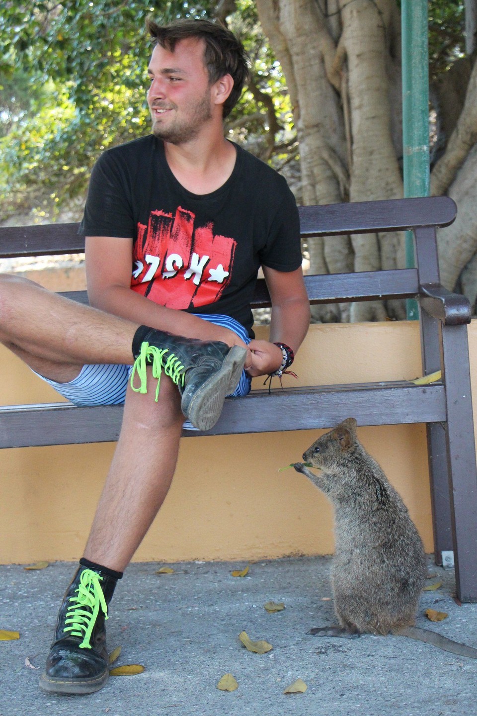 Australien - Rottnest Island - 