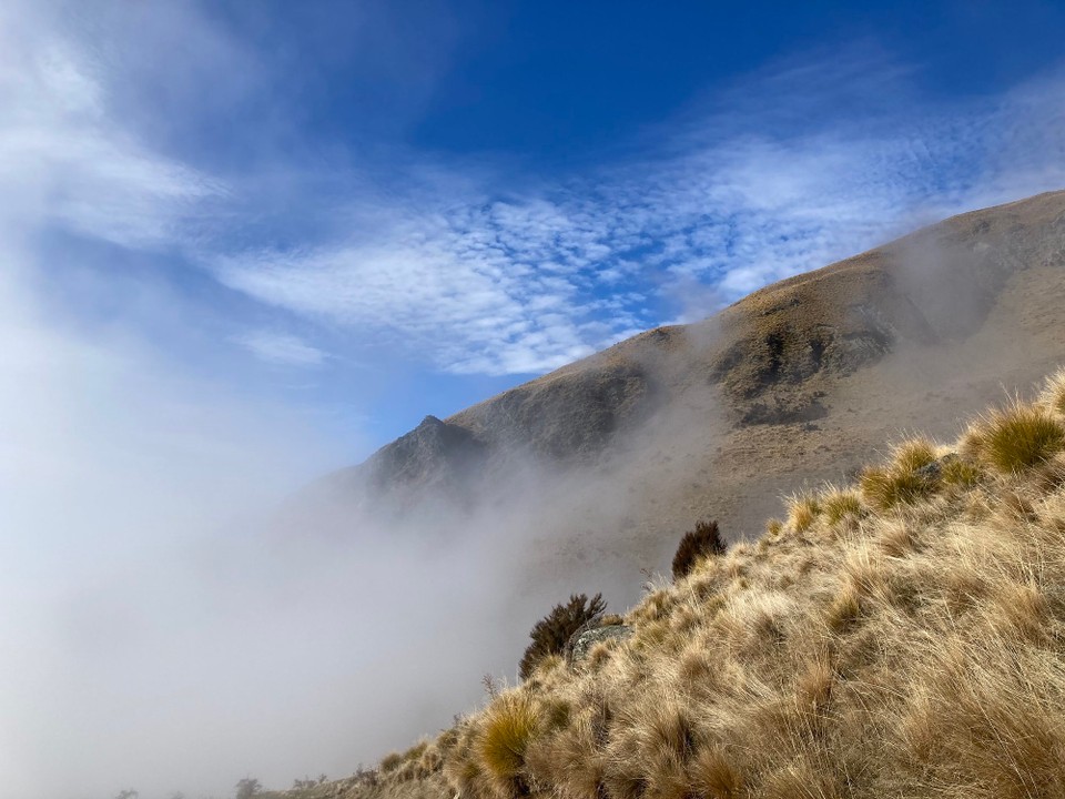 Neuseeland - Wanaka - Doch dann - raus aus dem weißen Mist und rein ins Licht 🤩