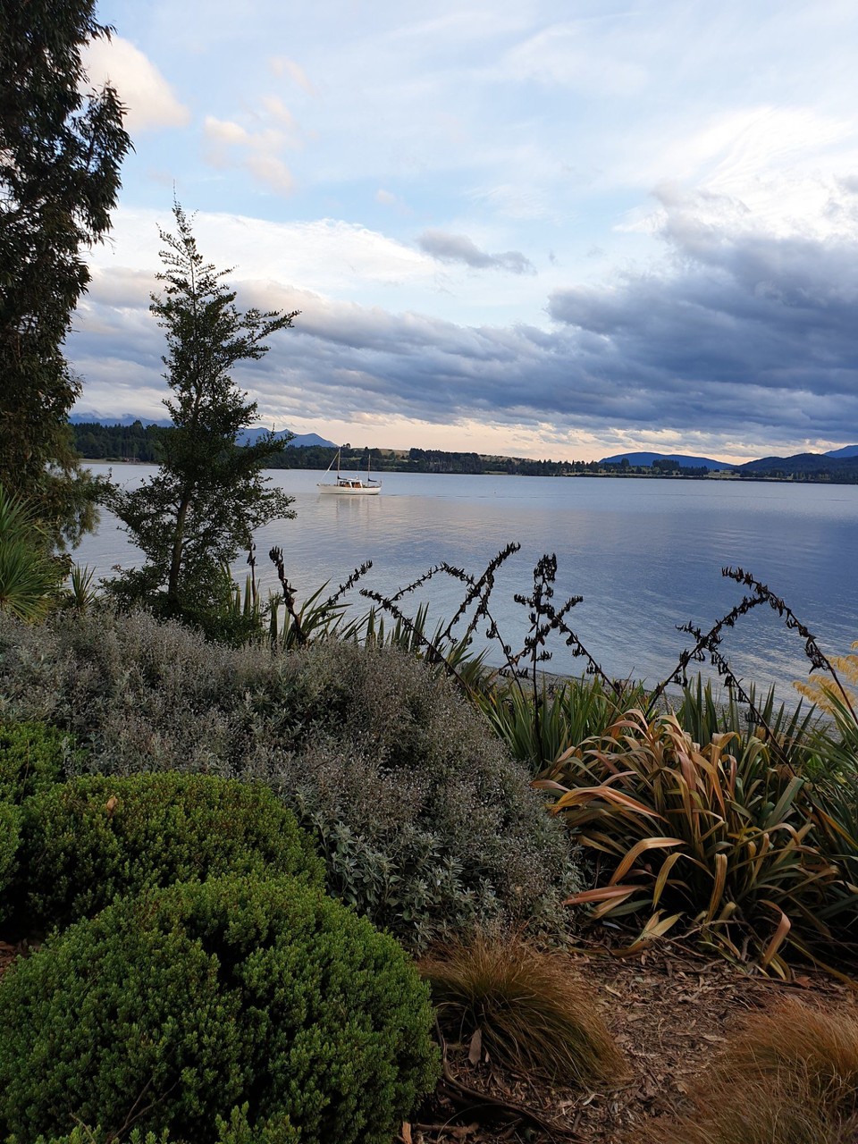 Neuseeland - Manapouri - Lake Te Anau