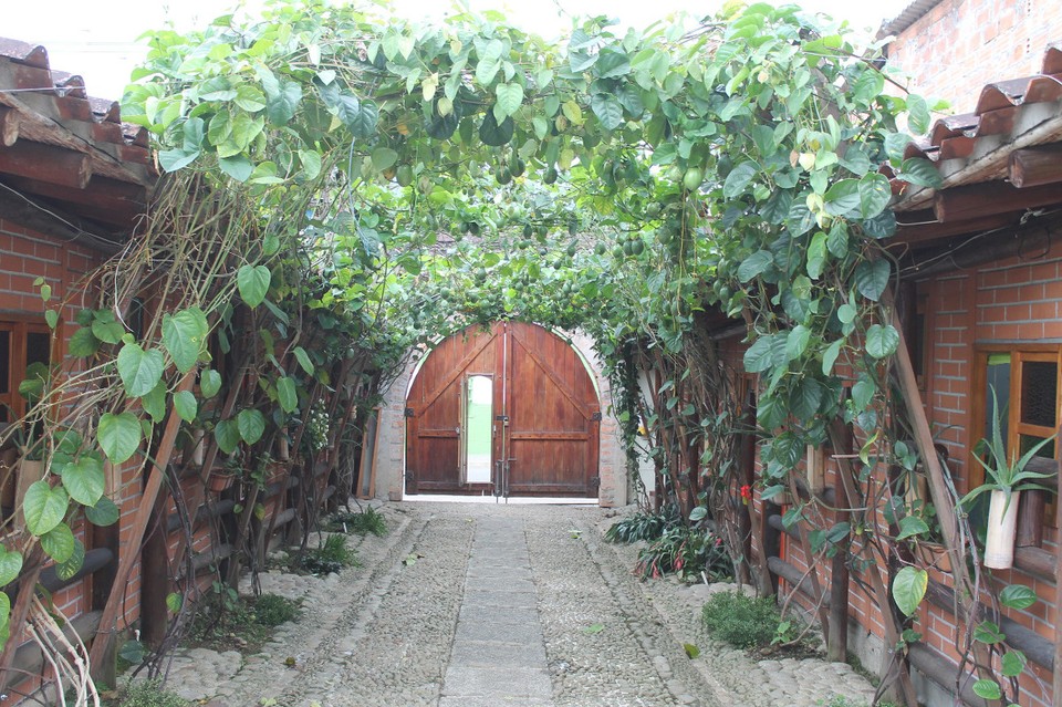 Colombia - Jardín - Im Garten des Hostels Katarrana